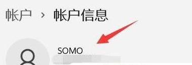Win11登录微软账号及管理员操作指南