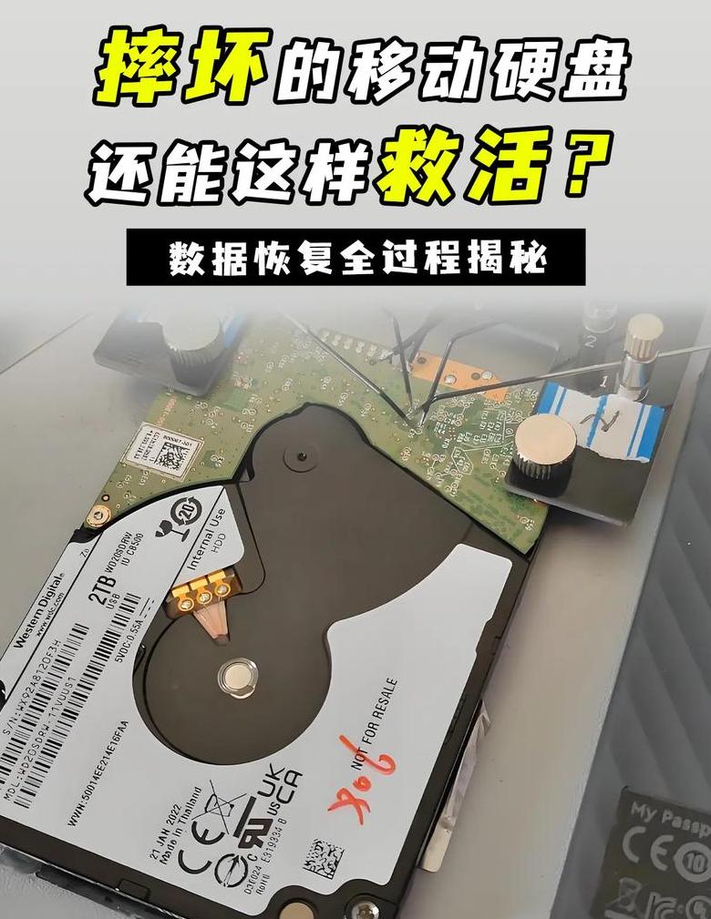 vivoNEX3连接移动硬盘故障排查指南