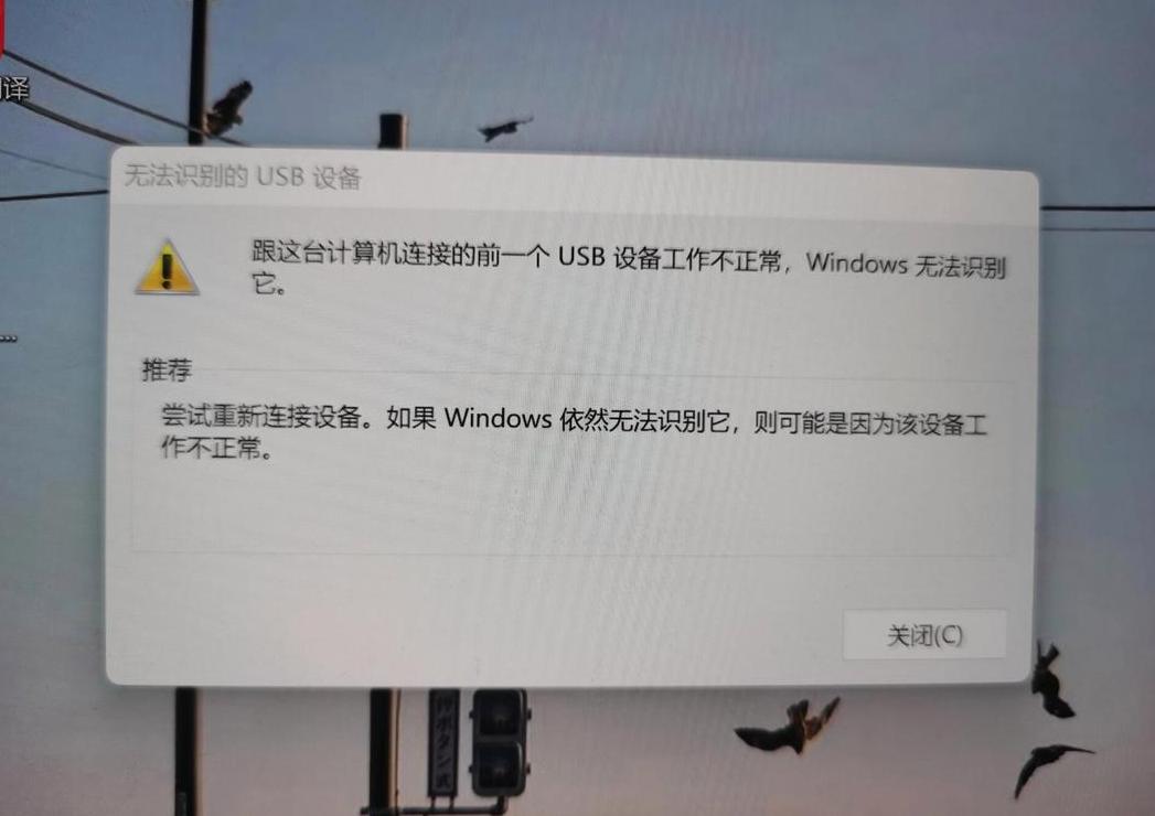 移动硬盘提示格式化？教你修复与解决方法