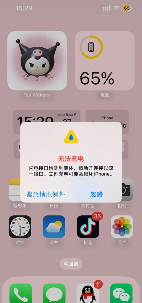 苹果手机充电问题排查指南