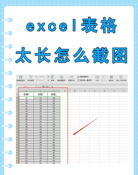 Excel鼠标十字形区域揭秘：单元格参考区功能解析